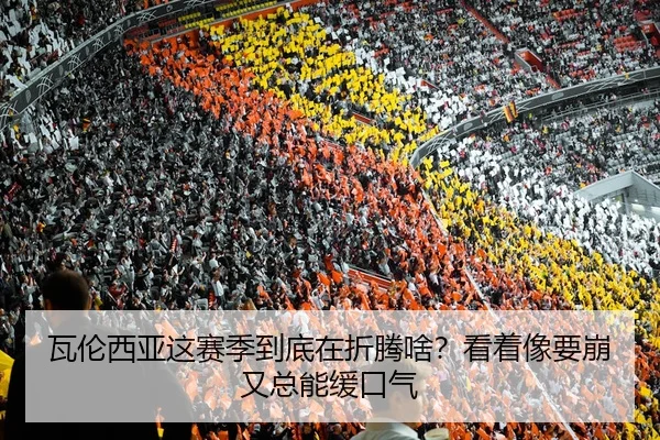 wa-lun-xi-ya-zhe-sai-ji-dao-di-zai-zhe-teng-sha-kan-zhe-xiang-yao-beng-you-zong-neng-huan-kou-qi-2-777.jpg