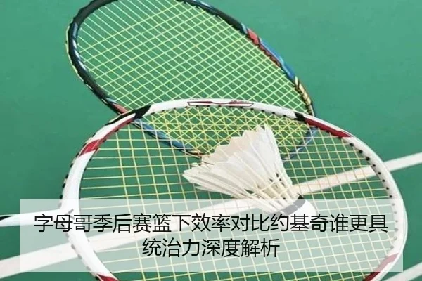 字母哥季后赛篮下效率对比约基奇谁更具统治力深度解析