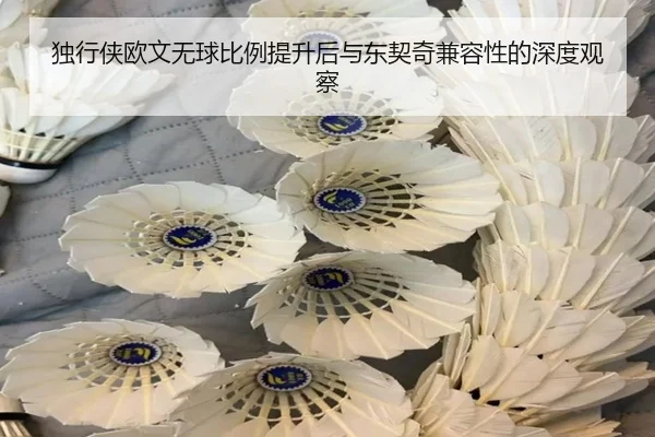 独行侠欧文无球比例提升后与东契奇兼容性的深度观察