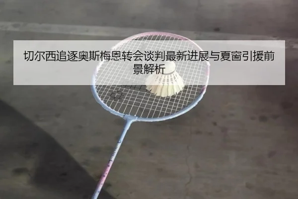 切尔西追逐奥斯梅恩转会谈判最新进展与夏窗引援前景解析